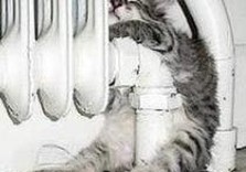 кот около батареи