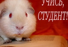 студент