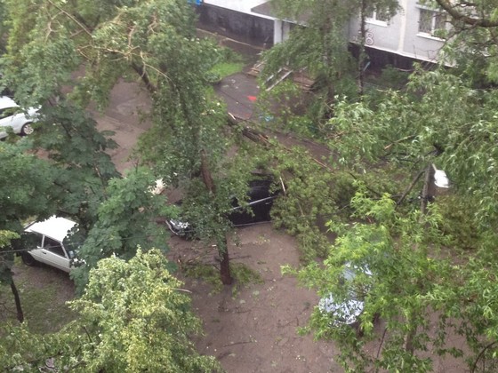 Плывущие и разбитые машины, поваленные деревья: по Харькову пронесся ураган (фото, видео) фото 2