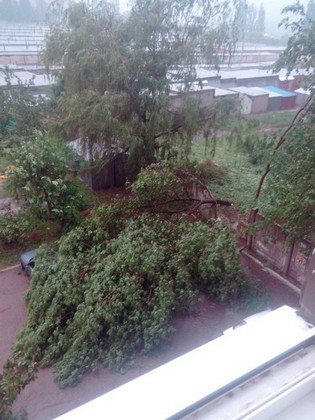 Стихия в Харькове: "Потоп" на рынке, парализованный транспорт и 120 сломанных деревьев (фото,видео) фото 20