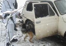 Белые привидения с собаками напали на машину