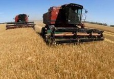 ЕБРР: Украина может стать мировым поставщиком продуктов питания