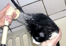 мытье волос