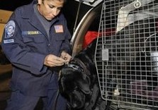 гаити пострадавшие
