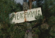 указатель