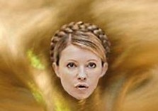 тимошенко карикатура
