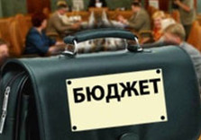 портфель бюджет