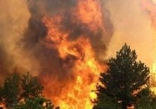 хога, лесные пожары, бабаев, мчс, сельхозугодья, кчс