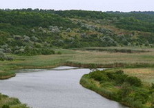река