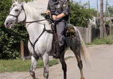 конная милиция