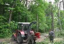 строительство дороги в лесопарке