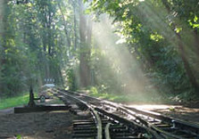 лесопарк харьков детская железная дорога