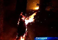 пожар в воронежской области