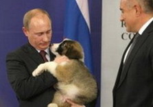 путин со щенком