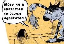 кот и мышь