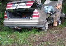 дтп, дерево