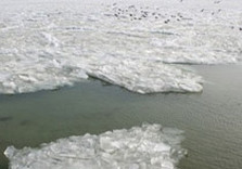 торосы льда на черном море у побережья одессы