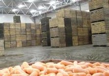 овощехранилище
