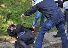 драка львов день победы