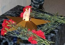 цветы вечный огонь