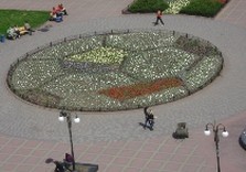 клумба