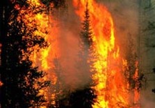пожар