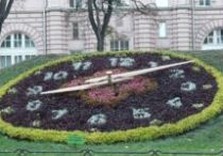 цветочные часы