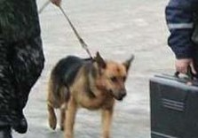 подозрительный пакет