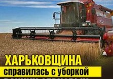 уборка ранних зерновых
