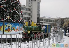 елка южд