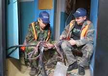 телефонная связь