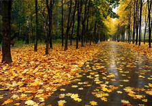 осень
