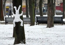 погода