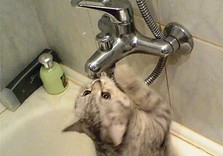 нет воды