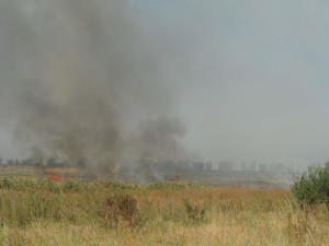 Пожары возникают ежедневно