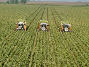 Сельское хозяйство в Украине может развиваться по польскому сценарию