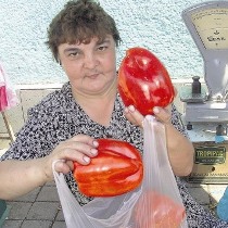 перец