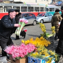 букет,8 марта,цветы,подарок,праздник