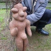 Китайский рунический цветок