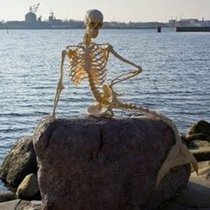 дания русалочка скелет