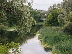 Река Уды