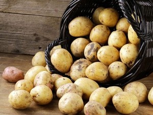 Картофель предлагается в опте уже по 7-9 грн/кг